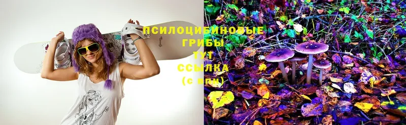 как найти закладки  Ейск  Галлюциногенные грибы Psilocybe 